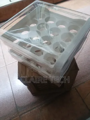32-Egg Double-Layer Storage Tray for Fridge