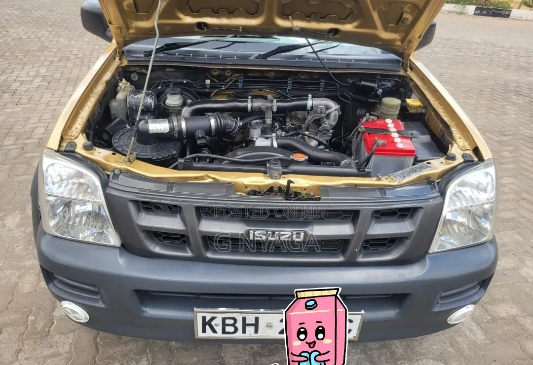 Isuzu D-MAX 2008 Gold