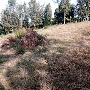 Land and Plots for Sale in Uaka