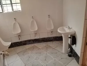 Auto Plumbing Services