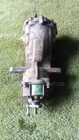 Hyundai Santafe, Sportage Differential/Diff