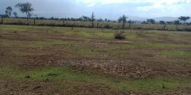 Plot for Sale in Rongai, Nakuru - thumbnail 2