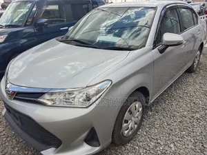 Toyota Axio 2019 Silver