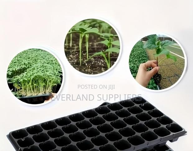 Simple Seed Planting Tray - main view