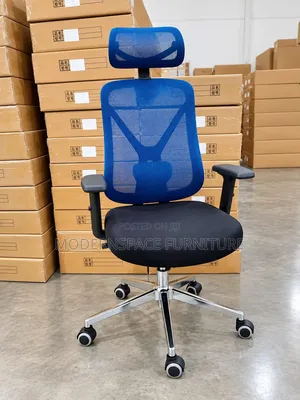 Blue Ergonomic Office Chair With Headrest