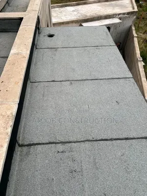 App Membrane Installation/ Leaking Roofs