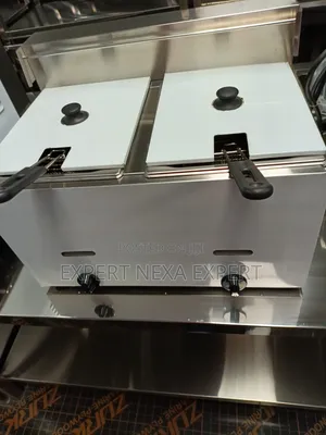 Double Gas Fryer at 10L
