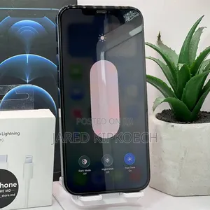 Apple iPhone 12 Pro Max 256 GB Blue