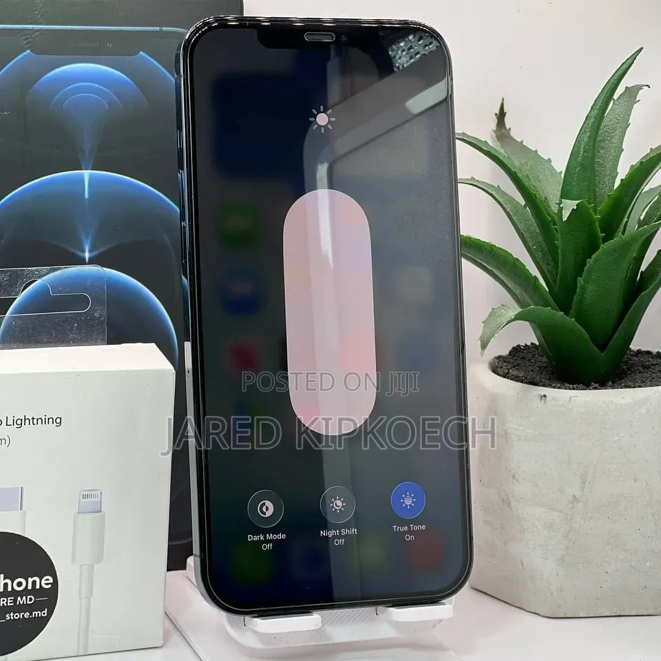 Apple iPhone 12 Pro Max 256 GB Blue