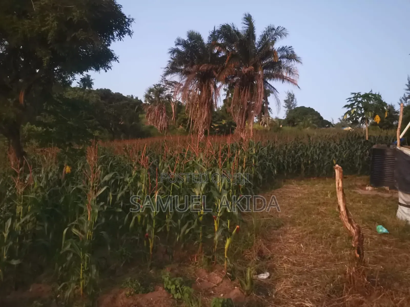 Farm Stewardship
