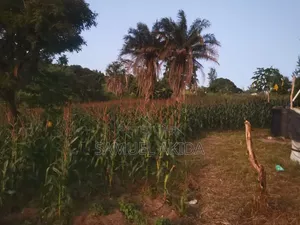 Farm Stewardship