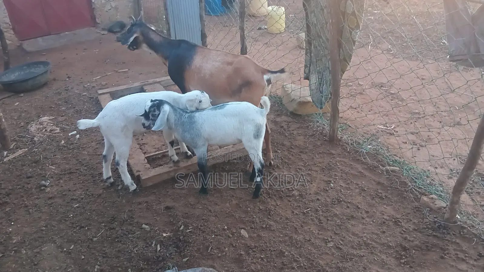 Farm Stewardship