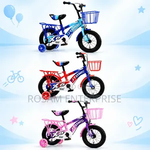 Jingang Bike Size 12