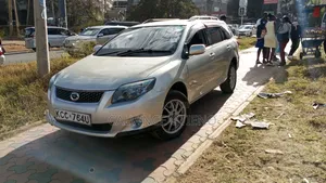 Toyota Corolla Fielder 2010 Silver