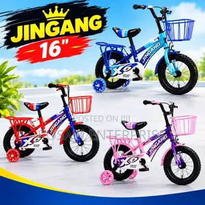 Jingang Bicycle Size 16
