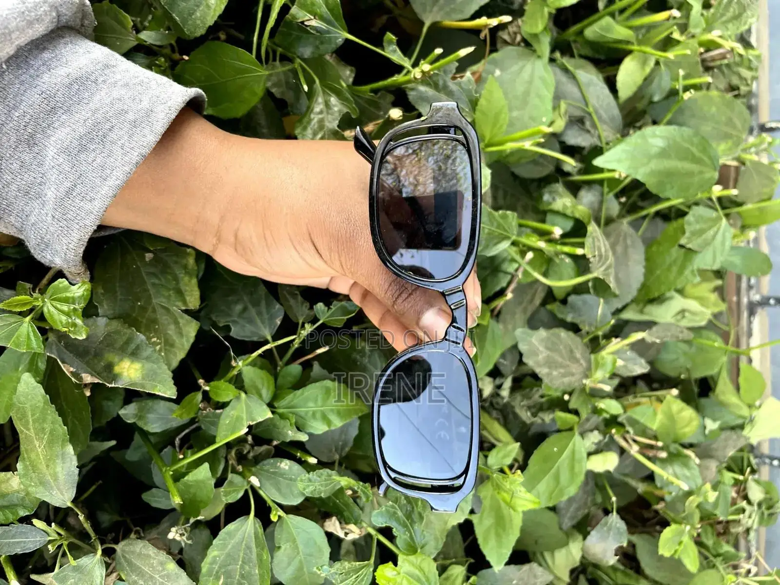 Sunglasses Channel Gucci Versace Shades