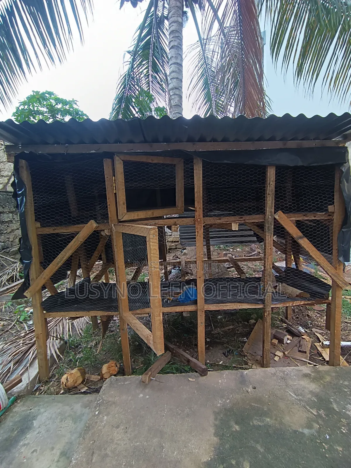 Chicken Cage