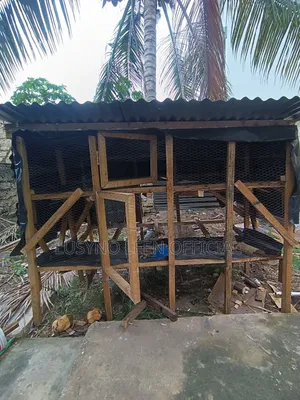 Chicken Cage
