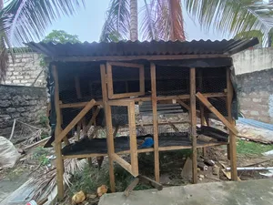 Chicken Cage
