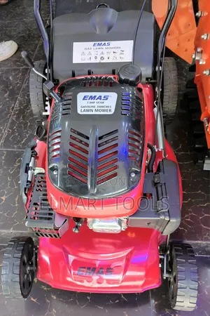 EMAS 7HP Petrol Lawn Mower
