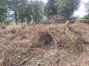 Amazing 1 Acre Land in Ngong