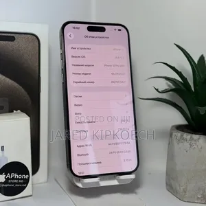 Apple iPhone 15 Pro Max 256 GB Silver