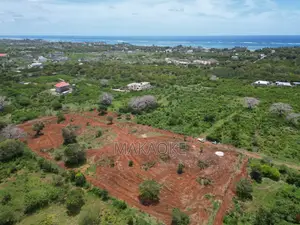 1/8 Acre Bofa Beach Plots for Sale | Installments Available