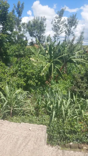 1/8th Residential Plot