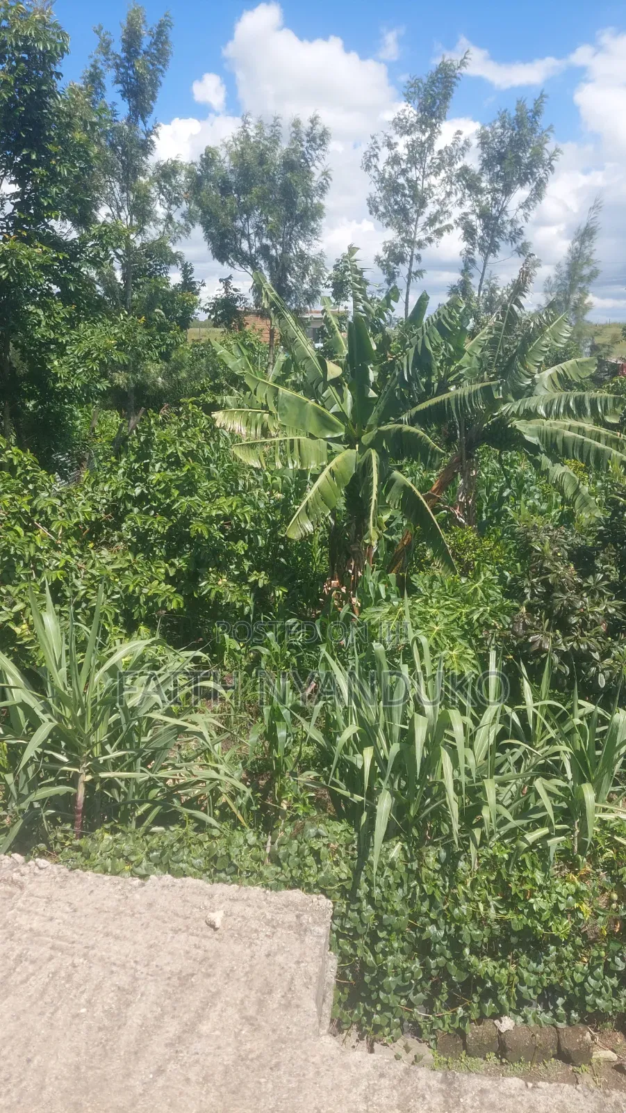 1/8th Residential Plot