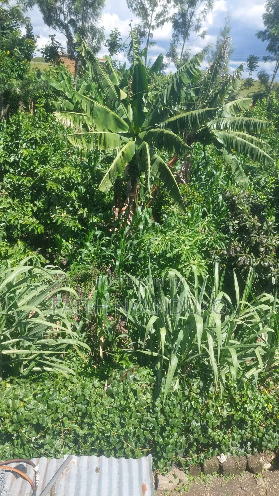 1/8th Residential Plot