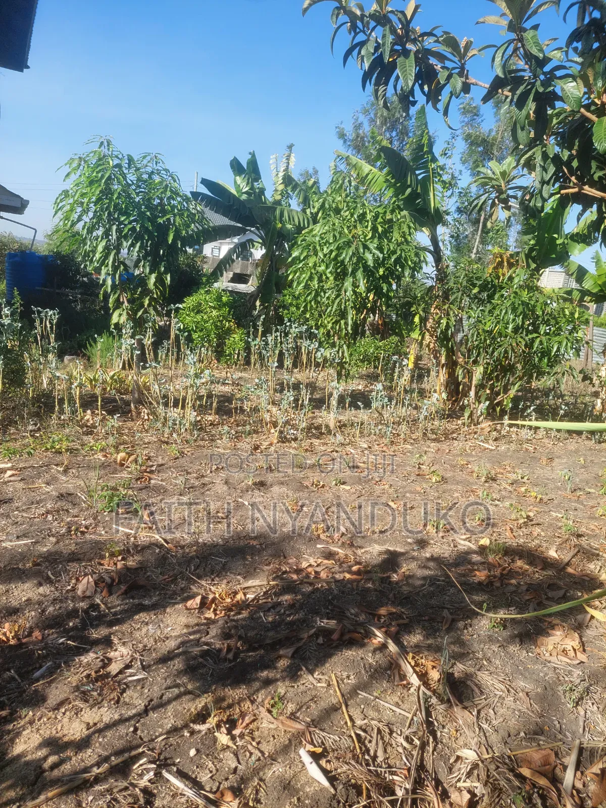 1/8th Residential Plot