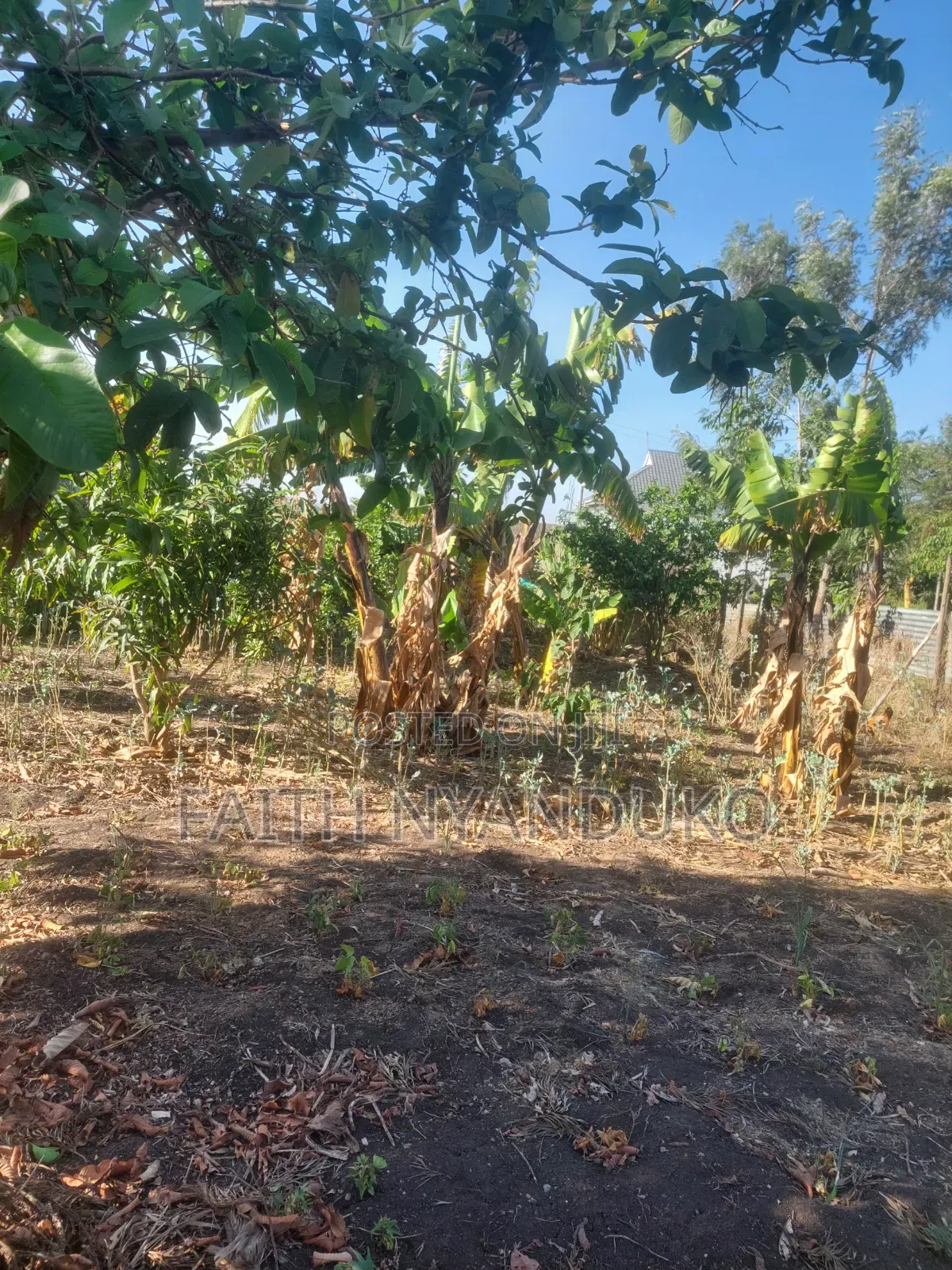 1/8th Residential Plot