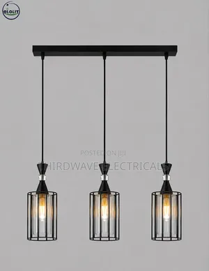 Modern 3-Light Black Metal Cage Pendant Chandelier With Glass Shades