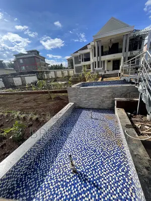 Fish Pond Maintenance