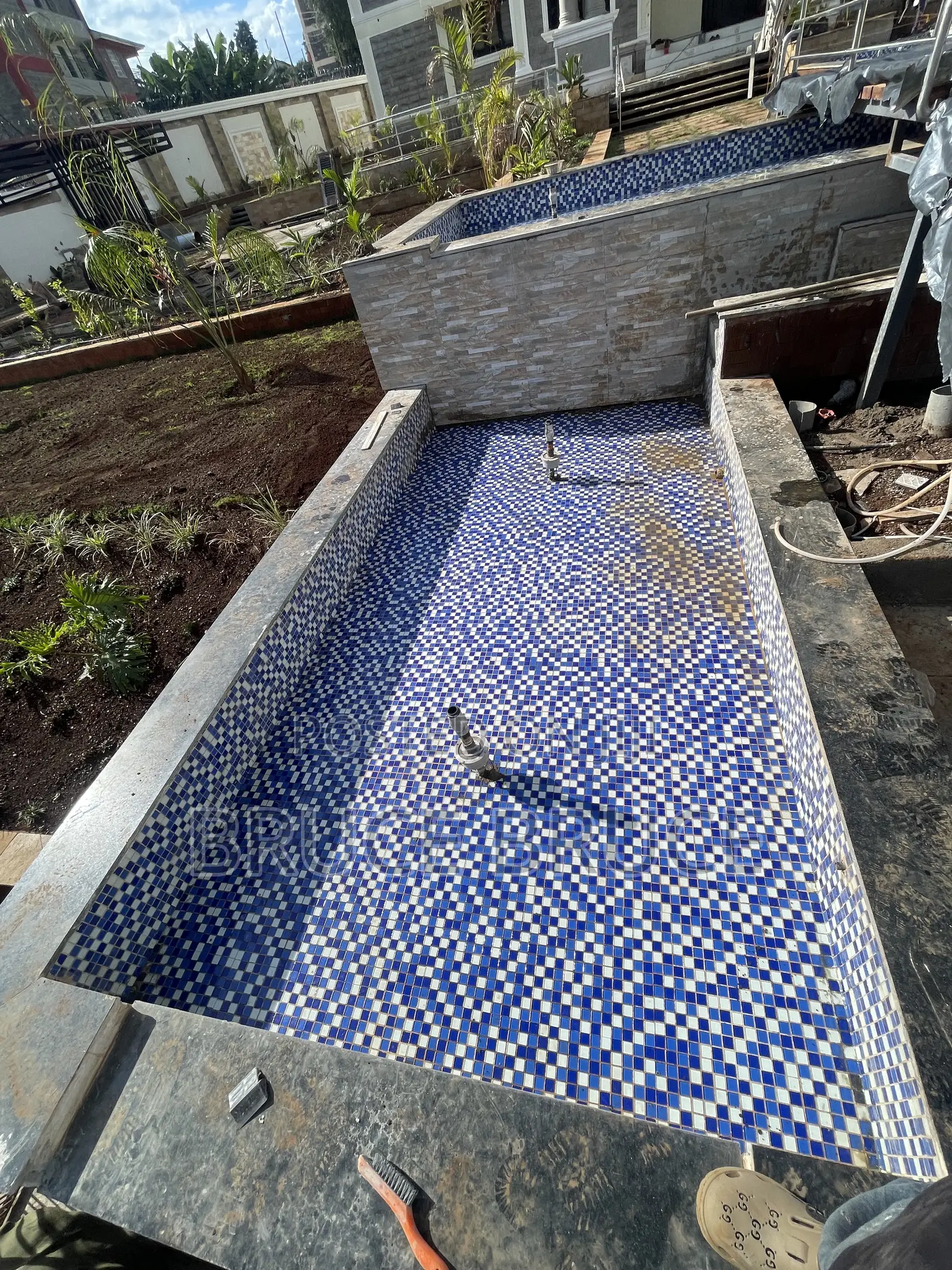 Fish Pond Maintenance