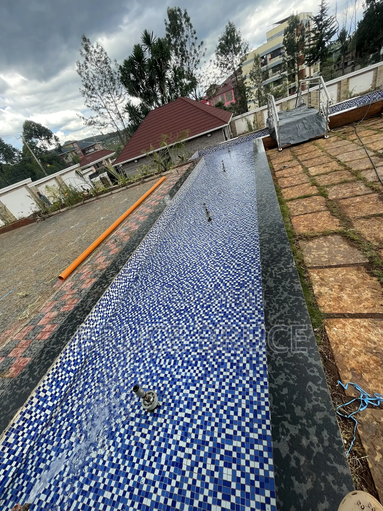 Fish Pond Maintenance