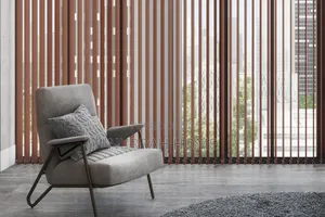 Vertical Blinds for Privacy