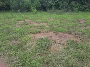 Stunning One and Half Acres in Karen