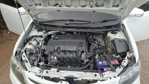 Toyota Allion 2011 White