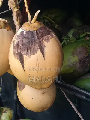 Madafu Man