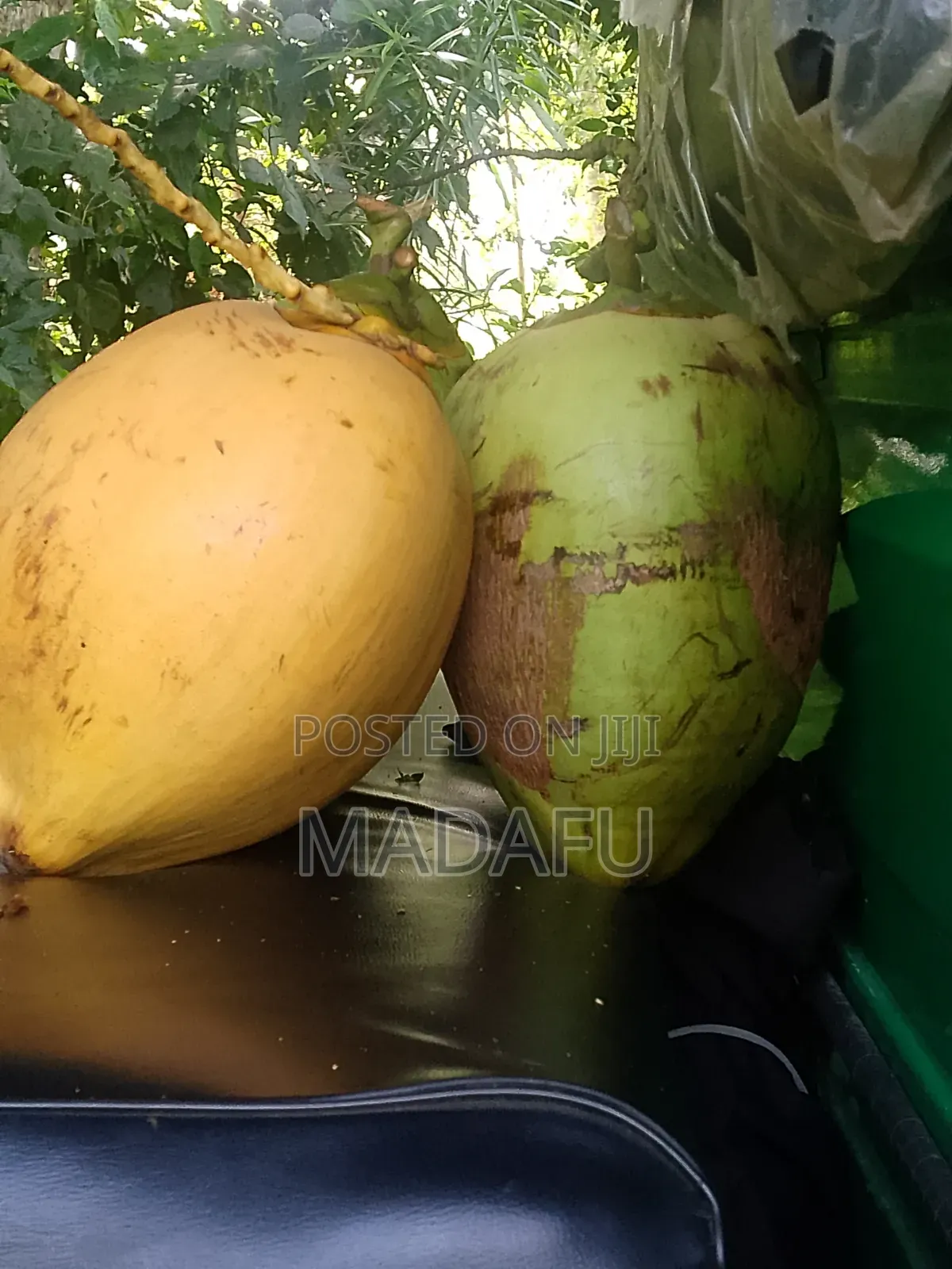 Madafu Man