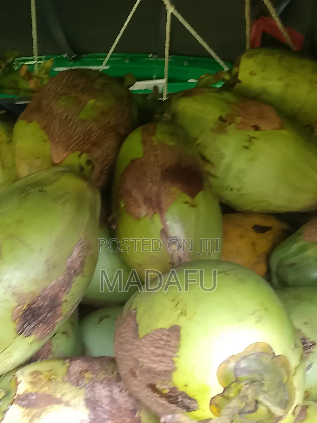 Madafu Man
