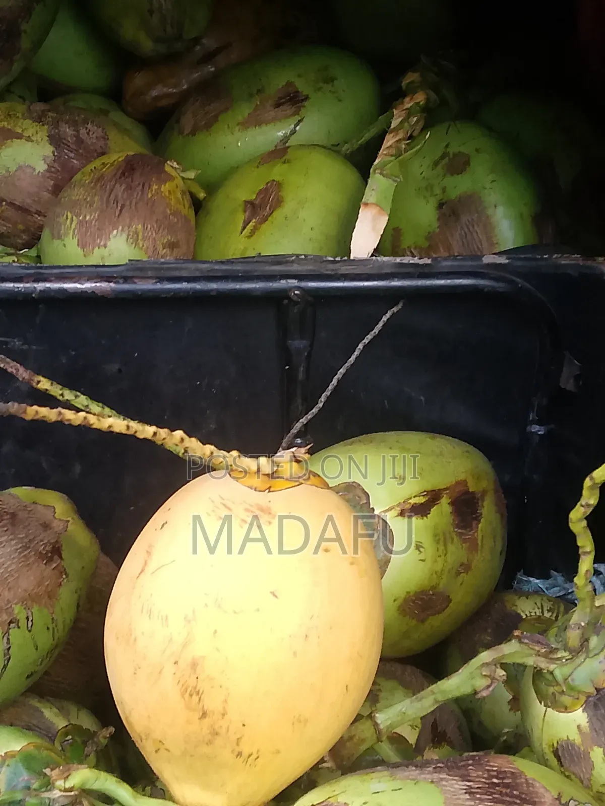 Madafu Man