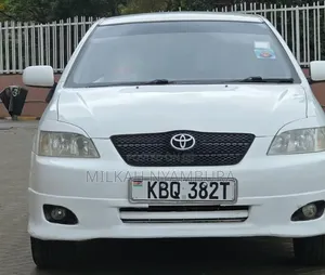 Toyota Allex 2004 White