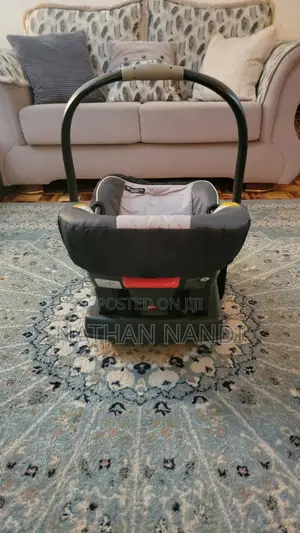 Graco Baby Car Seat