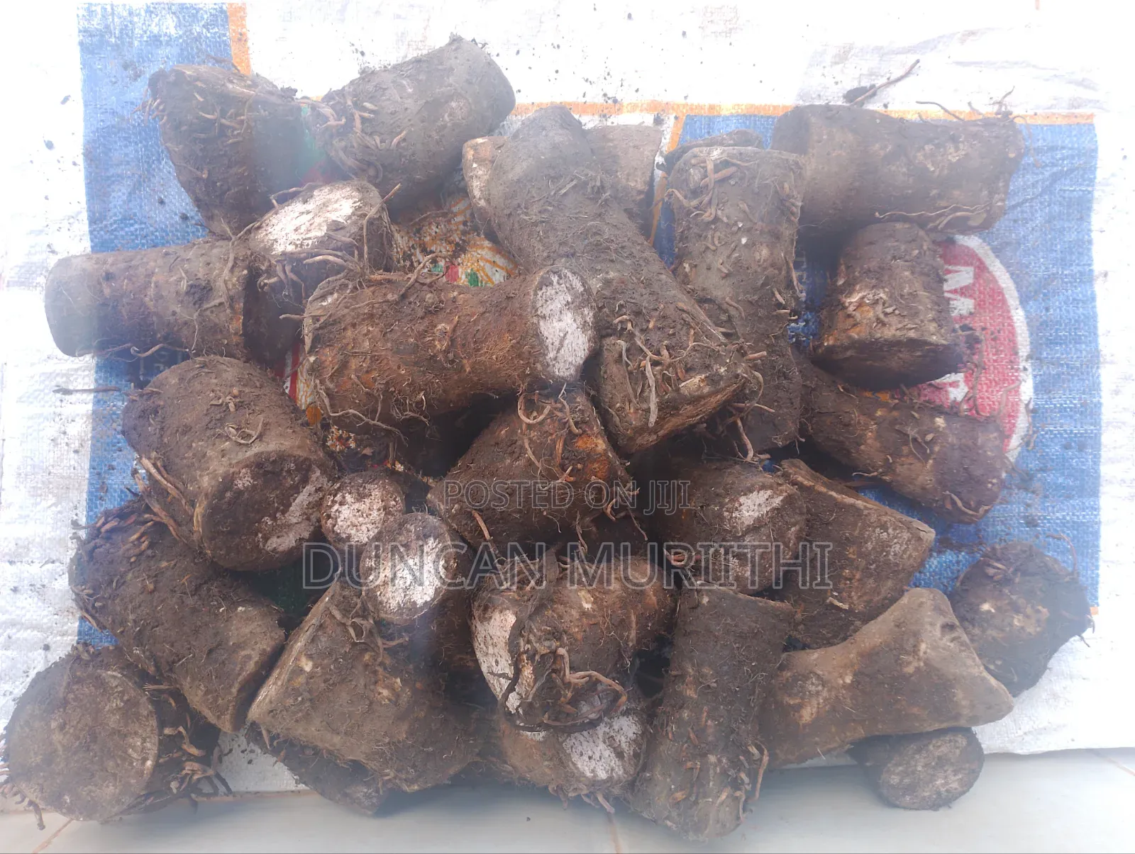Fresh Arrowroots (Nduma)