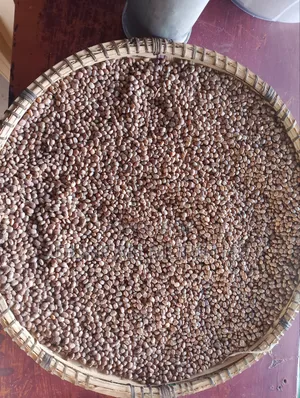 Dry Brown-Speckled Cowpeas