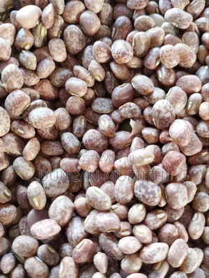 Dry Brown-Speckled Cowpeas