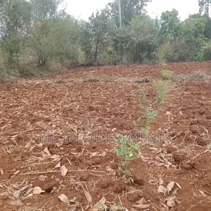1 Acre on Sale at Maguguni- Thika GARISSA Road