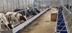 Dairy Manager Job Available